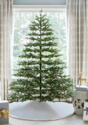 9' Rushmore Fir Tree with Warm White LED Lights - FINAL SALE