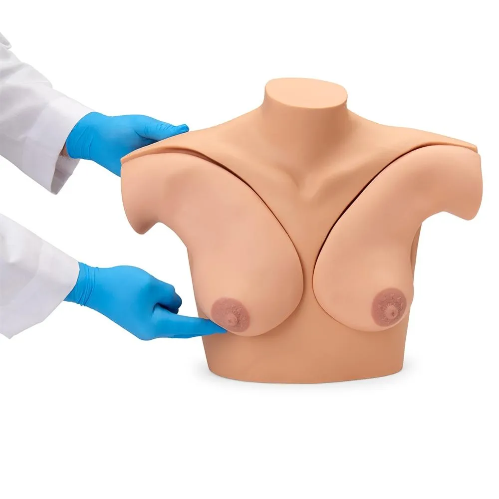 Breast Examination Simulator, Light