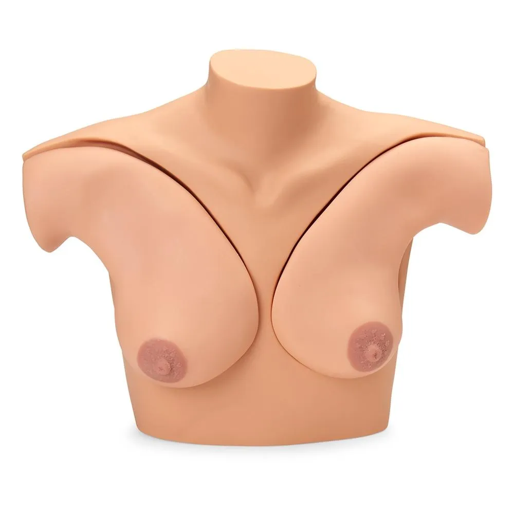 Breast Examination Simulator, Light