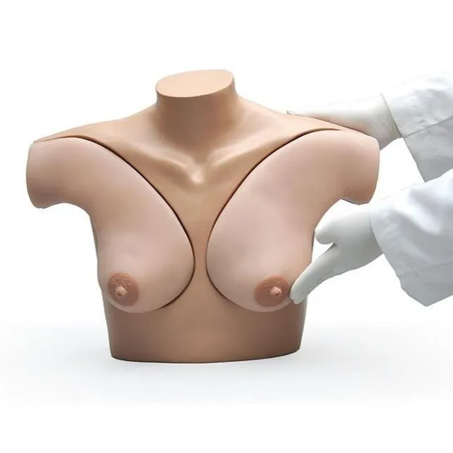 Breast Palpation Simulator for Clinical Teaching, Medium