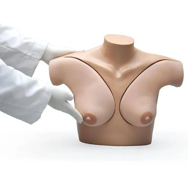 Breast Palpation Simulator for Clinical Teaching, Medium