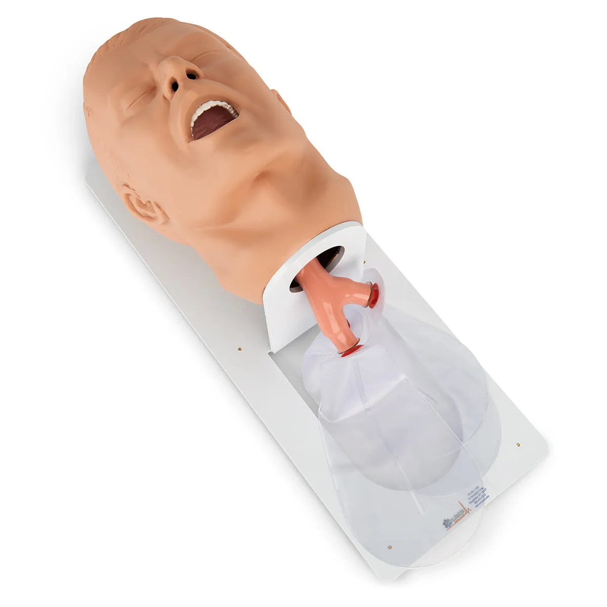 Economy Adult Airway Management Trainer