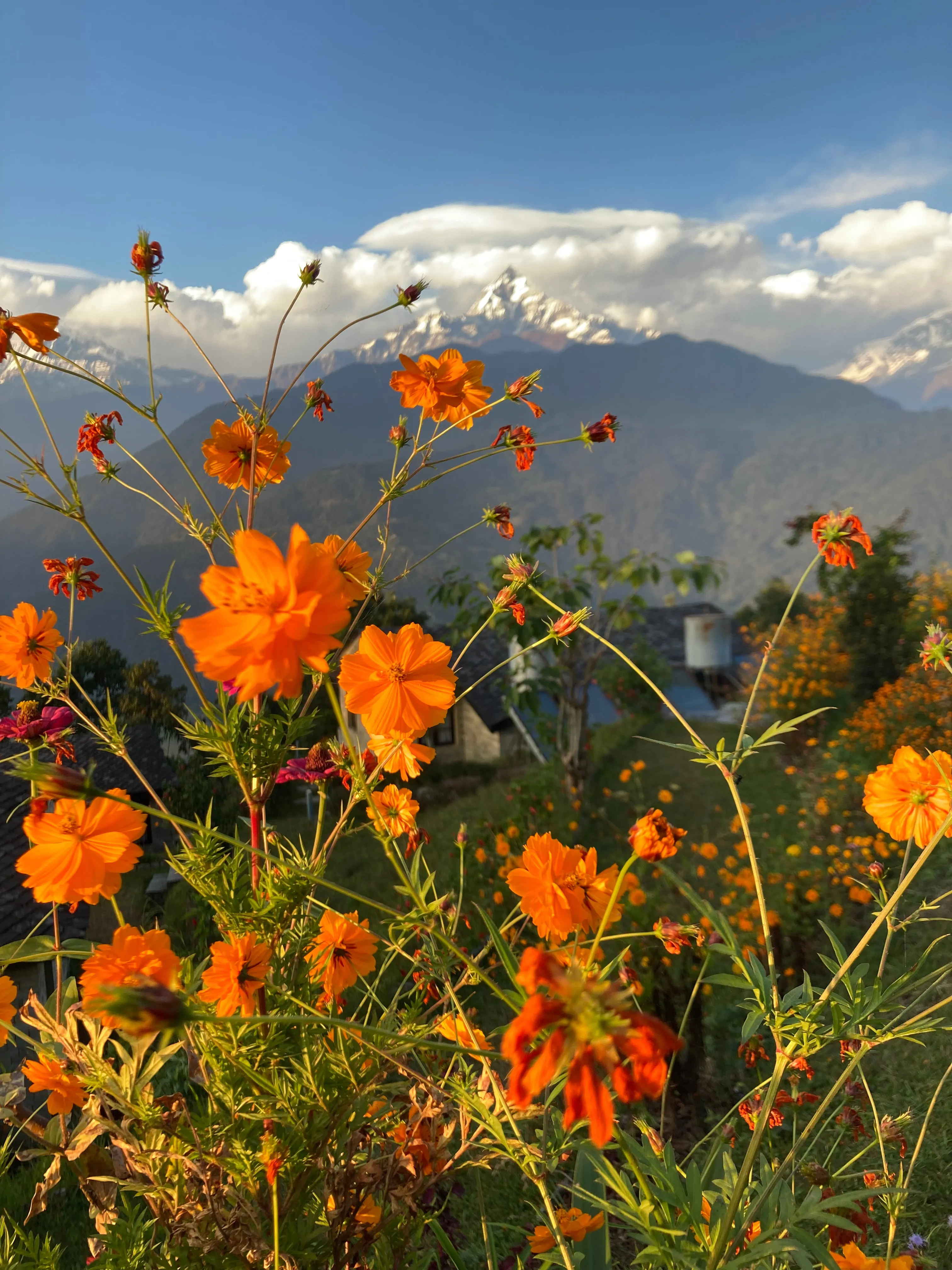 Experience The Colors of Himalayas: immersion of culture, Yoga & Nature