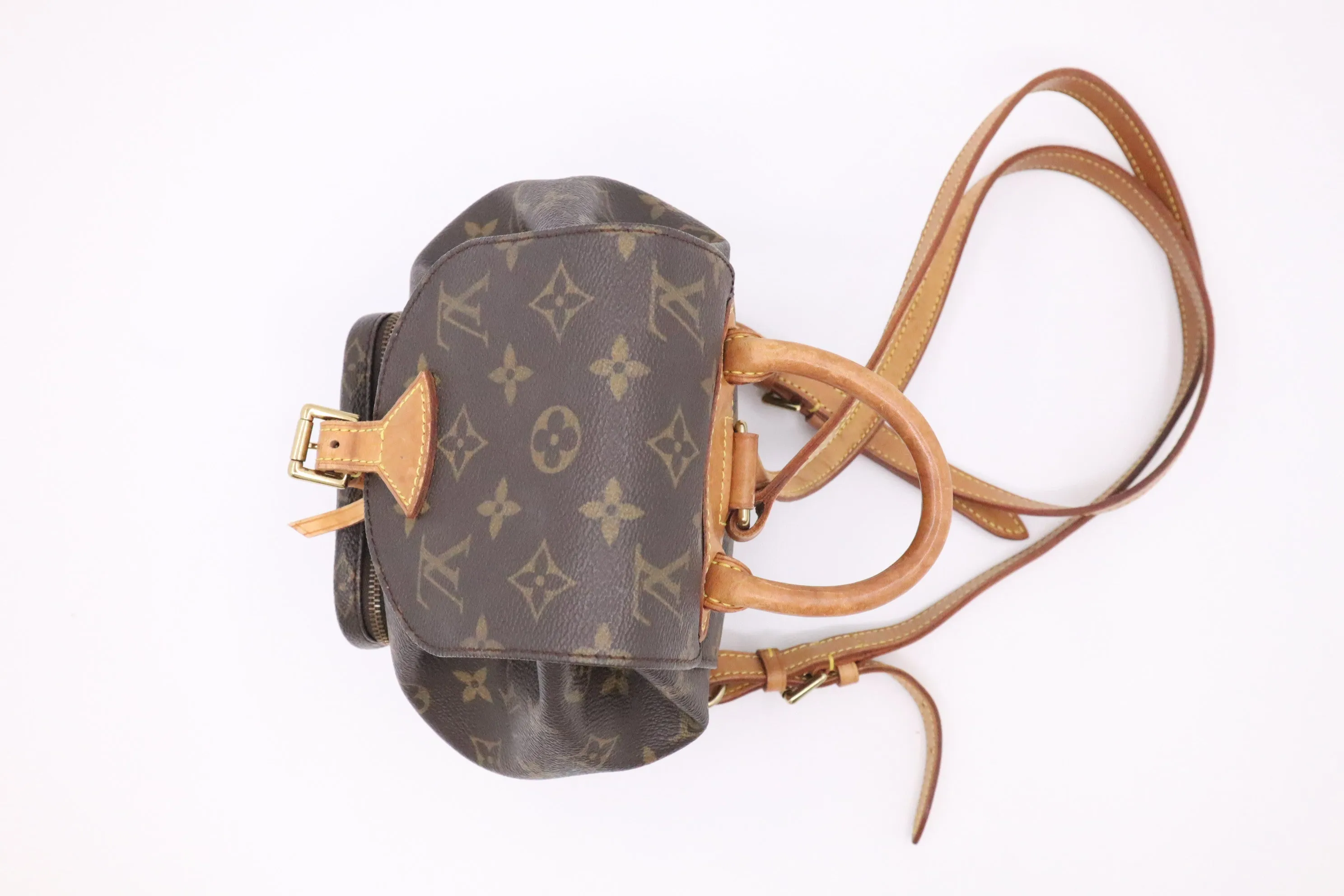 Louis Vuitton Montsouris PM in Monogram Canvas