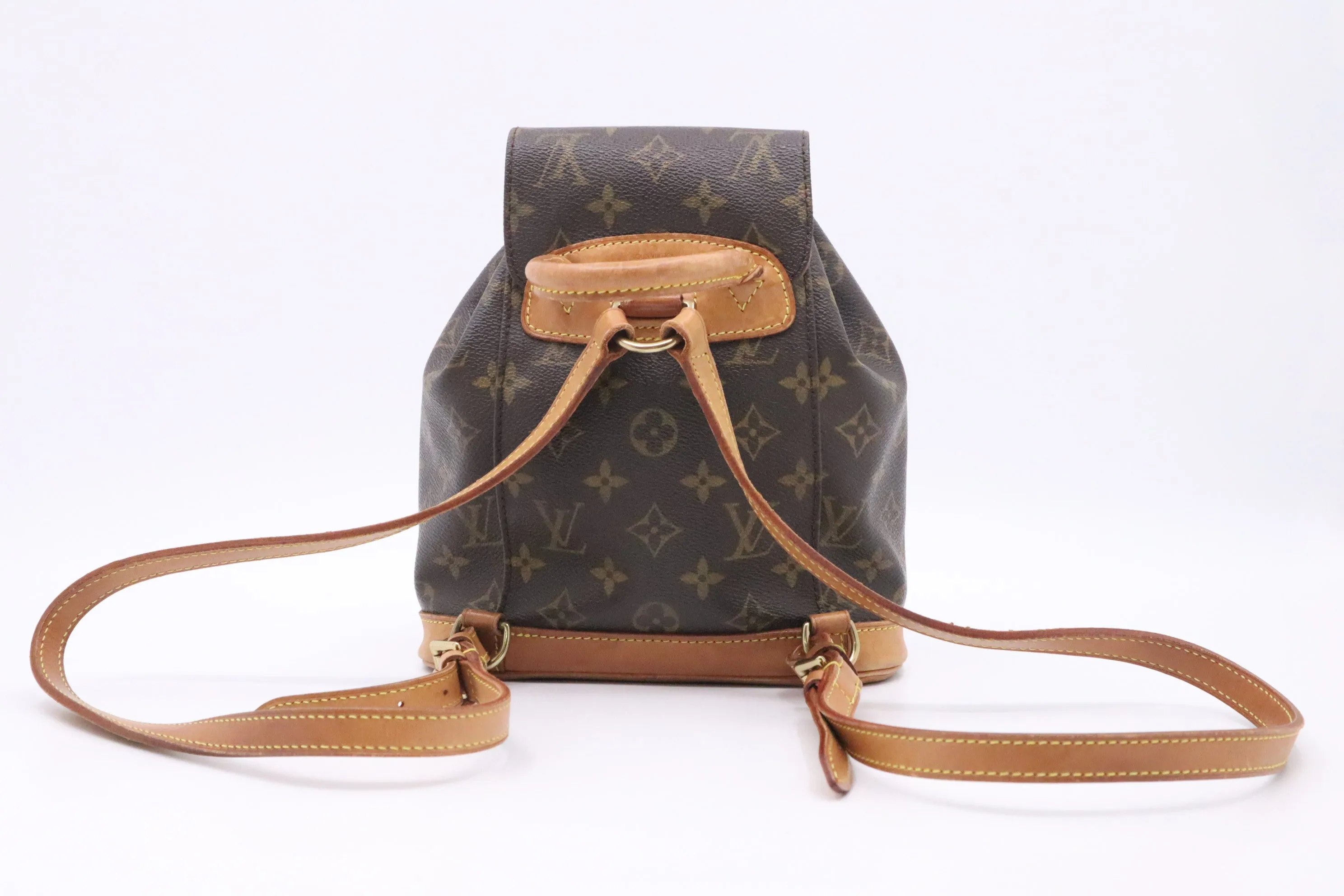 Louis Vuitton Montsouris PM in Monogram Canvas