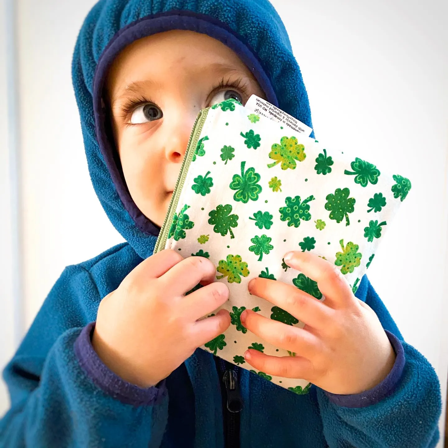 Toddler Sized Reusable Zippered Bag Circus Animals